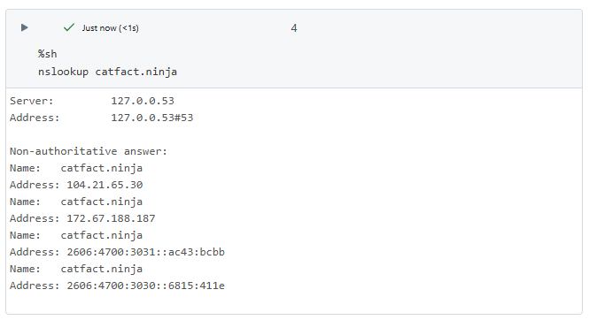 Successful nslookup against catfacts.ninja